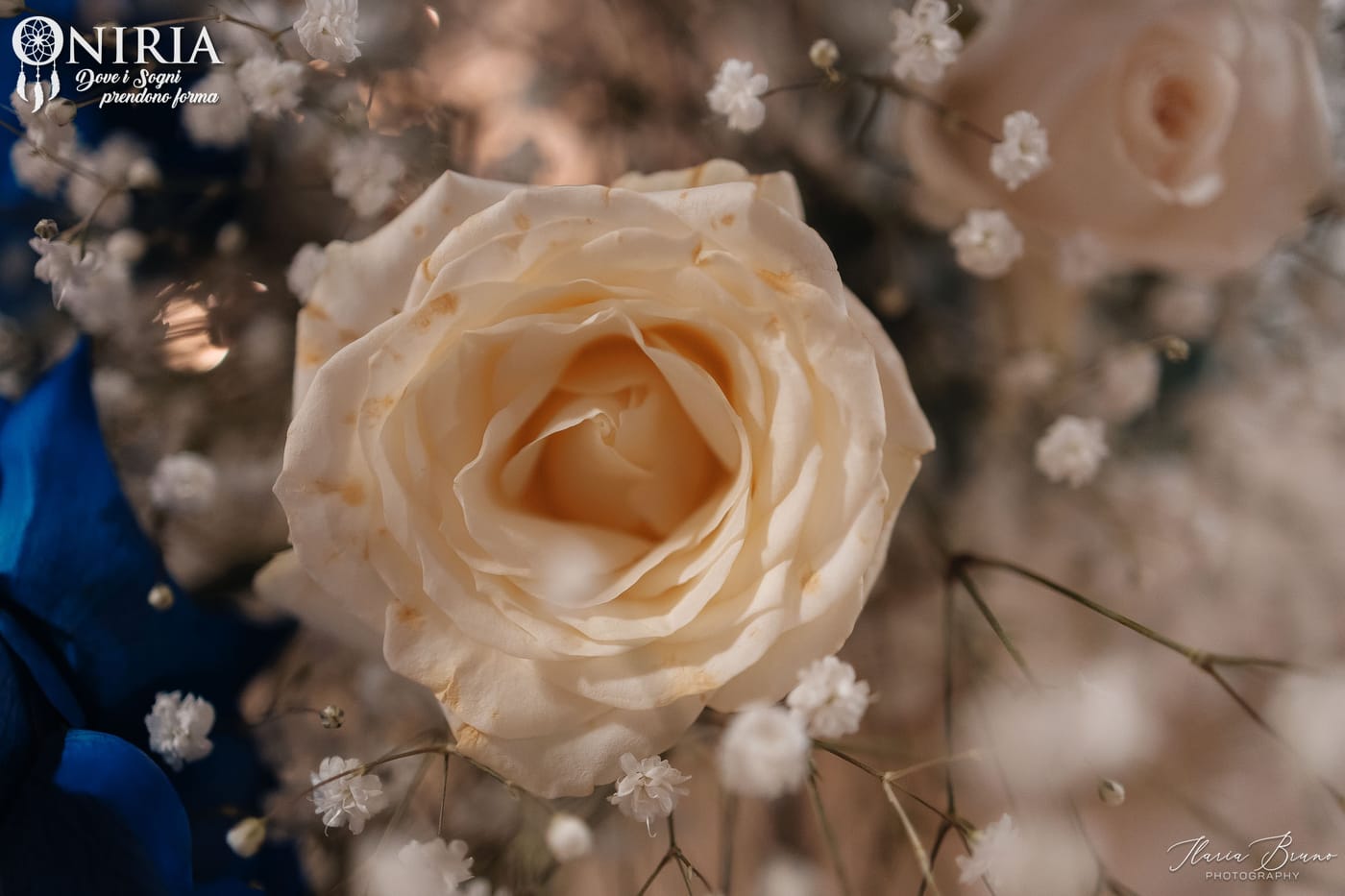 Dettaglio di una rosa avorio tra la gypsophila, allestimento firmato Oniria